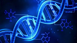 Information om DNA