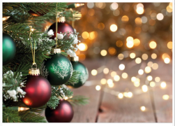 Nyhetsbrev i december