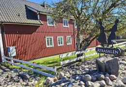 DM Hjärnkoll