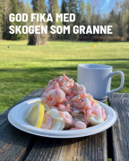 Vårens sista månadsträff vid Café Skogen!