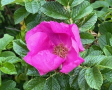 PARENTATION 2025-11-03