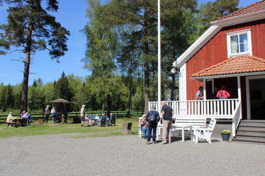 20240513 Hjärnkoll Tjureda