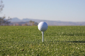 Elins golfmästerskap den 16 maj