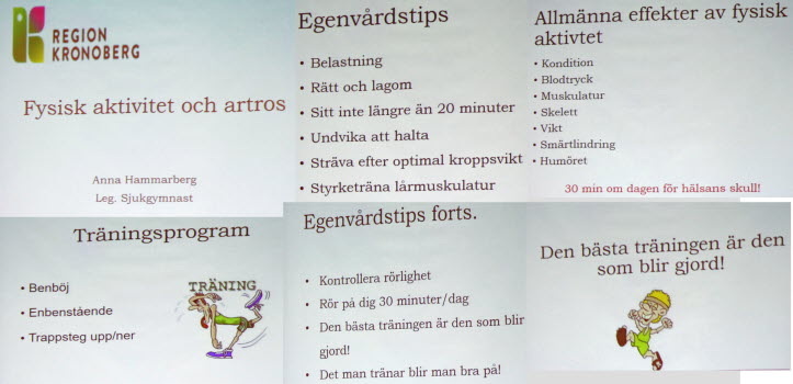 20170921 Artros och Ehrling Lundblad