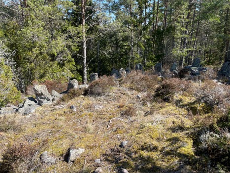220422 Vandring Västra Kovik