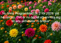 Nu finns programbladet nr. 2  för 2026  på hemsidan