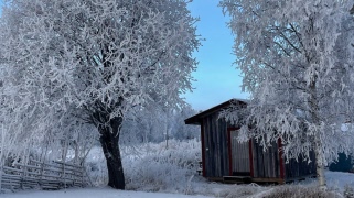 Välkommen till vår gemenskap!