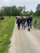 Promenadgruppen