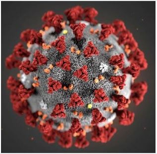 Information om Corona