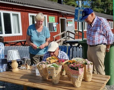 Klubbmästerskap i boule 210909.