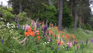 Trevlig midsommar