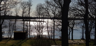 Reportage eftermiddagskaffet tema Alf Hambe