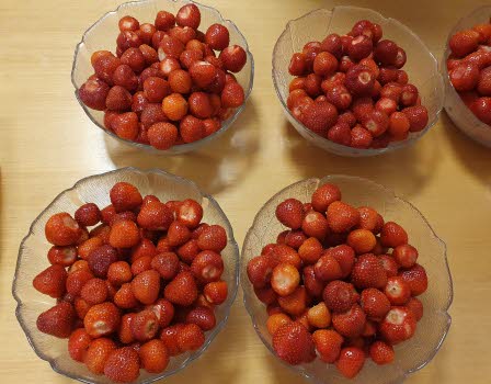 jordgubbar i fem skålar