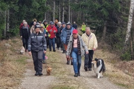 Höstens promenader
