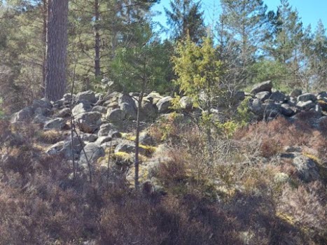 220422 Vandring Västra Kovik