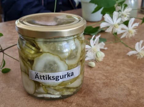 230825 Gemenskapsdag på IK Tun.