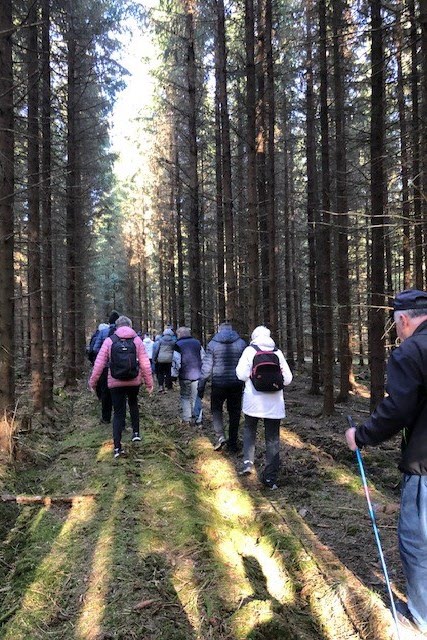 Promenaden fortsätter in i de djupa Sjörödskogarna