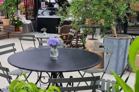 Följ med Bertil och Eva för lunch på Hjälmeskulla handelsträdgård 31 juli