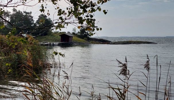 230922 Vandring Ålbäck och Långsjön