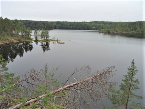 Vandring runt Ågelsjön