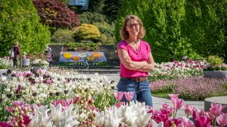 Program vintern/våren 2026