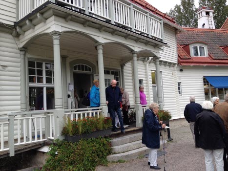 Blåresa
