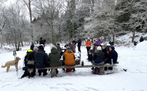 Dubbelt glatt i Kronskogen