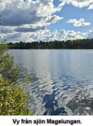 Skön höstpromenad
