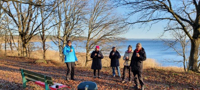 Promenad 20201123