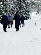 Uppstart promenadgrupp