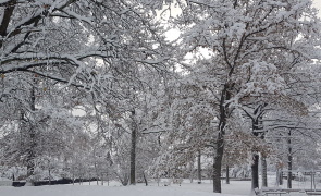 Årsmöte 9 februari