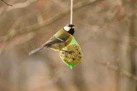 20251112 Månadsmöte med Jens U Nilsson