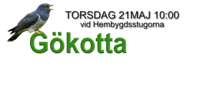 GÖKOTTA