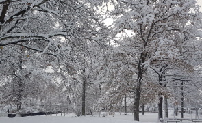 Månadsmöte 2 mars kl.13.00