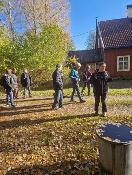 241017 Vandring runt Stavsjön