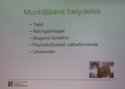 20230323 Våra tänder