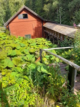 Utflykt till Ingvastebo