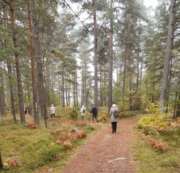 Måndagsgruppen