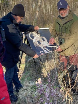 Fågelskådning vid Halla 230427