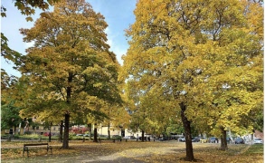 Välkomna med anmälan