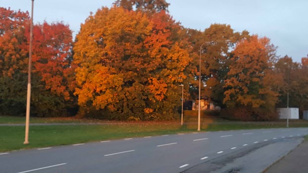Jönköpingsresa 2023-10-17