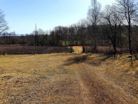 Vårpromenad 2021-04-19