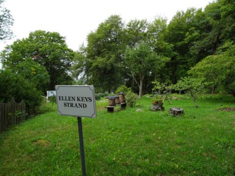 Ellen Keys Strand & Tåkern Naturum
