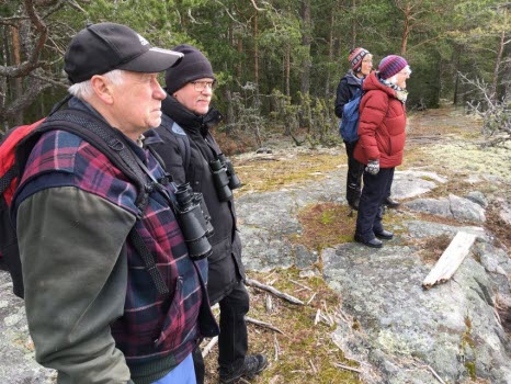 240418 Fågelskådning vid Halla