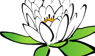 Tyvärr så har vi upptäckt ett fel i Programmet