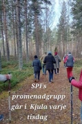 Promenadgrupp i Kjula