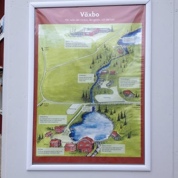 Blåresa