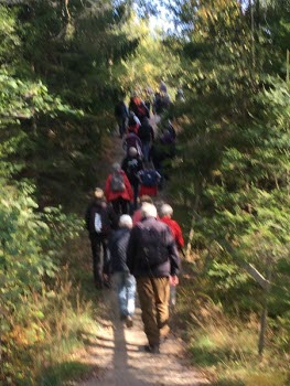 200925 Vandring vid OK Hällen