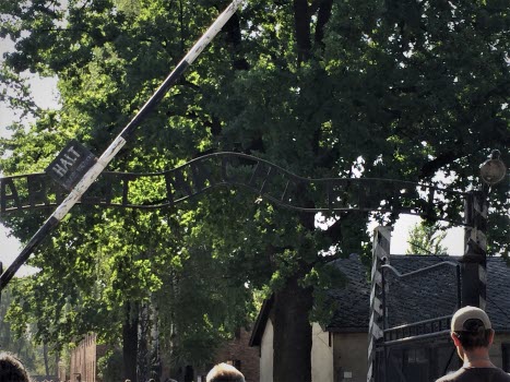 Arbeit Macht Frei