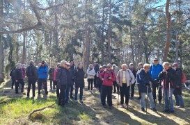 Solen sken på Frilufsarna